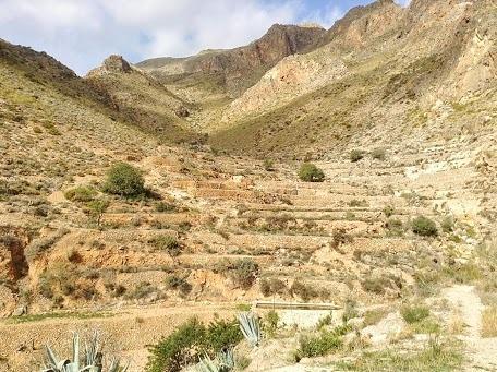 Cortijo El Molino Apartamento"El Balconcito" Níjar Exteriör bild